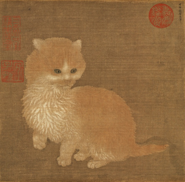 著名女画家陈香含与猫世界的对话