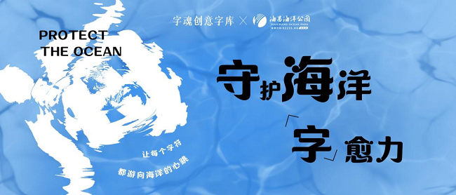世界海洋日|海昌海洋公园守护海洋精灵，搁浅糙齿海豚“阳阳”归家