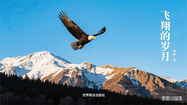 心灵朝圣之路的激情燃烧——评林雨诗集《飞翔的岁月》