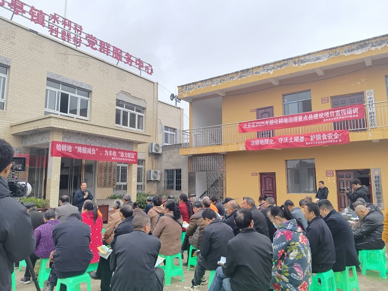 大足区深入实施酸化耕地治理 深耕细作筑牢粮食安全根基